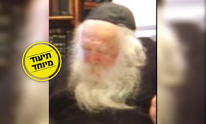 מרן הגר"ח קנייבסקי מסביר: מה הרמב"ם מביא להלכה? • צפו