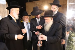 בן הרב התחתן עם בתו של יו"ר זק"א • צפו