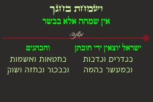 חגיגה ח' • סיכום והמחשה של הדף היומי