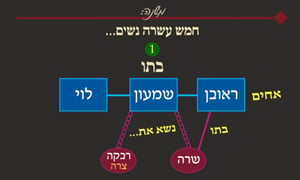 יבמות ב' • סיכום והמחשה של הדף היומי