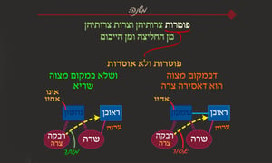 יבמות ג' • סיכום והמחשה של הדף היומי