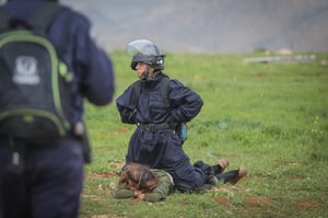 שני מאחזים פונו בבנימין, שישה נעצרו; צפו