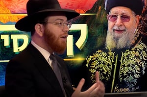 מרן אחרי הקמת המדינה: "מדינה של גיהנם"