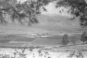 עמק החולה הגליל העליון, ב-1939