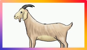 כך מציירים 'עז' • לומדים לצייר בכיכר קידס