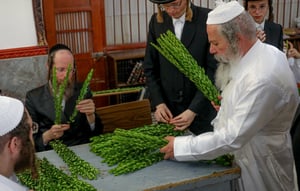 רגע אחרי הצום; האברכים בחרו ארבעת המינים • תיעוד