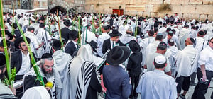 שיא במספר המבקרים בירושלים בחגי תשרי מהקהילות החרדיות