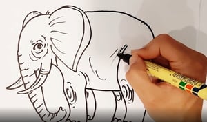 תעסוקה לילדים: בואו ללמוד לצייר 'פיל' בקלות ובהנאה