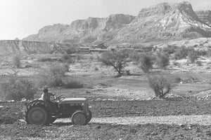 חקלאות בשנת 1953