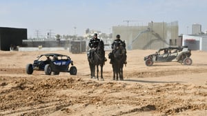 'סופה נודדת': כוחות משטרה פשטו על עשרות יעדים