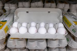 עוד מכה לצרכן: עלייה משמעותית גם במחיר  הביצים
