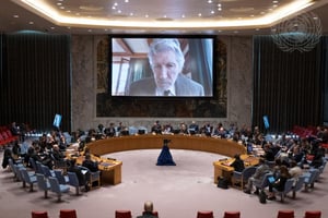 ווטרס במועצת הביטחון של האו"ם