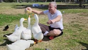 עם אווזים ויונים | כך ינון מגל חוגג את העברת הרפורמה המשפטית