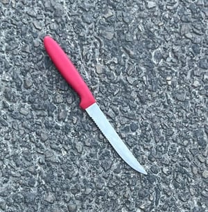 הסכין שהחזיק החשוד