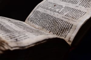 זעזוע: שוודיה התירה לשרוף תנ"ך במהלך מפגן מחאה