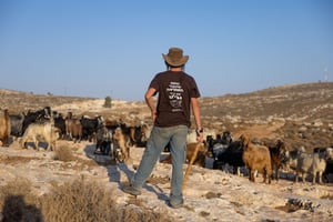 רועי צאן ליד רמת מגרון | ארכיון