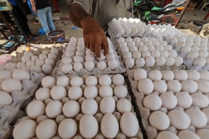 ביצים בשוק