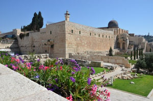 מבחר סיורים מיוחדים במעלה היסטוריית הרובע