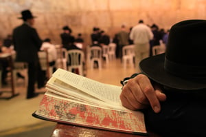 מכל רחבי העולם היהודי, רבים, רבים, מצטרפים למיזם החדש של 'ותן בליבנו' ללימוד הזוהר הקדוש