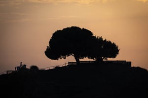 צמיחה פוסט טראומטית? //  ד״ר זאב קרומבי