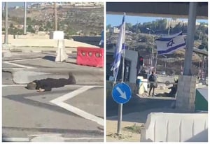 פיגוע ירי במחסום המנהרות: ארבעה פצועים במקום, אחד אנוש
