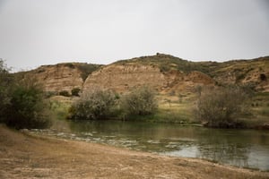 נחל הבשור בנגב