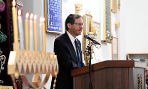 נשיא המדינה הרצוג