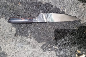 הסכין שבה השתמש המחבל