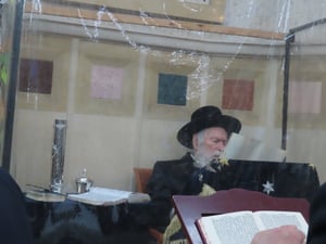 תיעוד: הגר"י זילברשטיין בקריאת המגילה ברמת אלחנן