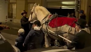 עם סוס לבן וכרכרה מפוארת: כך חגגו את הפורים בלב פריז 