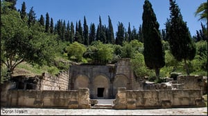 עתיקות בית שערים.