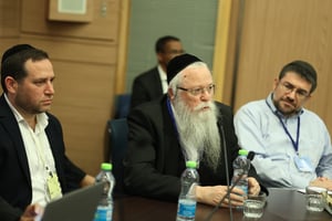 הרב יהודה מרמורשטיין, בדיון משותף שערכה ועדת הבריאות עם ועדת החינוך של הכנסת