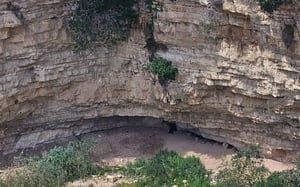 קדחת המערות