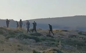 פורעים ערבים תקפו רועי צאן; שני פלסטינים נהרגו בעימותים
