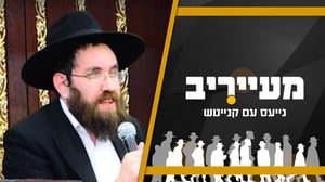 זמן קיץ בפוניבז' ייפתח מחר - זהו הר"מ החדש שמונה • מעייריב