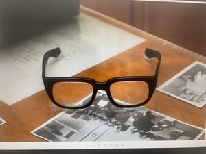 המשטרה גילתה: מי גנב את המשקפיים של דוד בן גוריון?