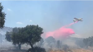 אדמה חרוכה ויערות חשופים: טייסת אלעד הוזעקה לגליל התחתון