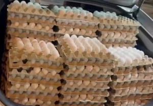 יותר מ-300 תבניות: מבריח ביצים נתפס ליד ירושלים