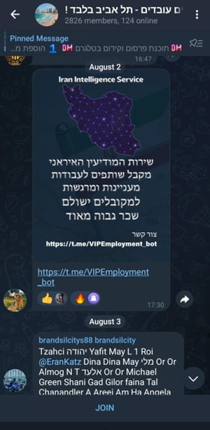 החשבונות הפיקטיבים