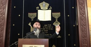הרב וולף