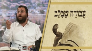 הקול שמחזיק הכל: ברסלב, גור, ספרדי ואשכנזי - אך בעיקר שליח ציבור