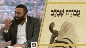 אלחנן משמרתי בריאיון: "נכנסת עצוב ויצאת שמח? זה מה שאני רוצה!" | צפו