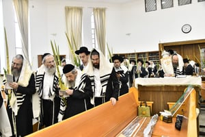 הגר"ד לנדו, והגרמ"ה הירש בנטילת לולב 