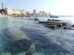 הנמל בצור