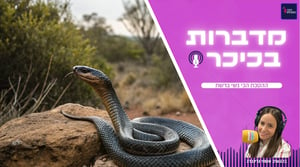 מדברות בכיכר: ההסכת הכי נשי ברשת • האזינו (שימו לב: שירת נשים!)