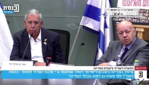 החטופה ששוחררה: "מכעיס שפתאום נחרדים; מה חשבתם? שהם בתאילנד?"