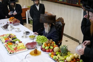 ט"ו בשבט בחצה"ק קומרנא ארזי הבירה