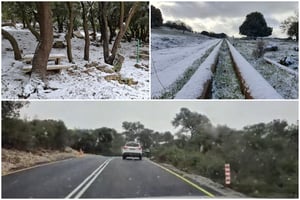 פארק הכרמל, הר מירון ויער אודם | המקומות שכן נהנו מהשלג