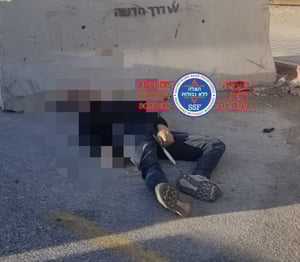 שני פיגועי טרור במקביל: פצועים מירי בשומרון, פצוע מדריסה בהר חברון