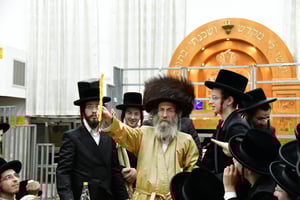 הרה"צ רבי אלימלך בידרמן שבת באשדוד